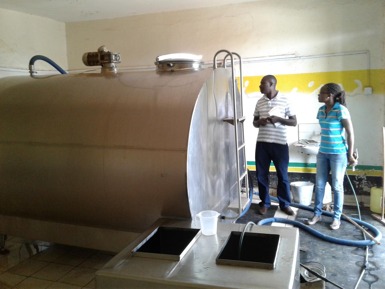 My experience as a Kiva partner impact fellow