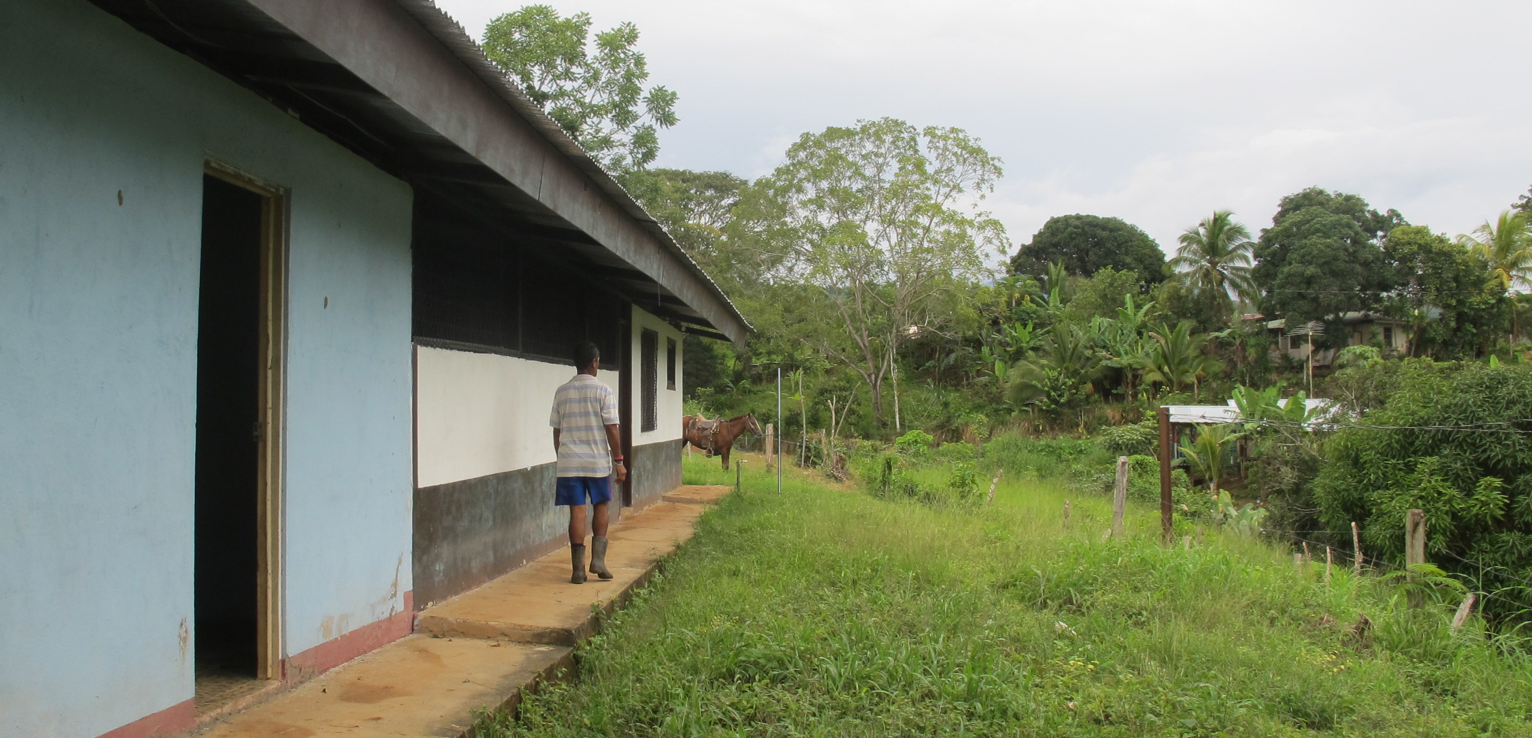 Bank-O-Mat Under a Hot Tin Roof: Making Non-Profit Microfinance Sustainable