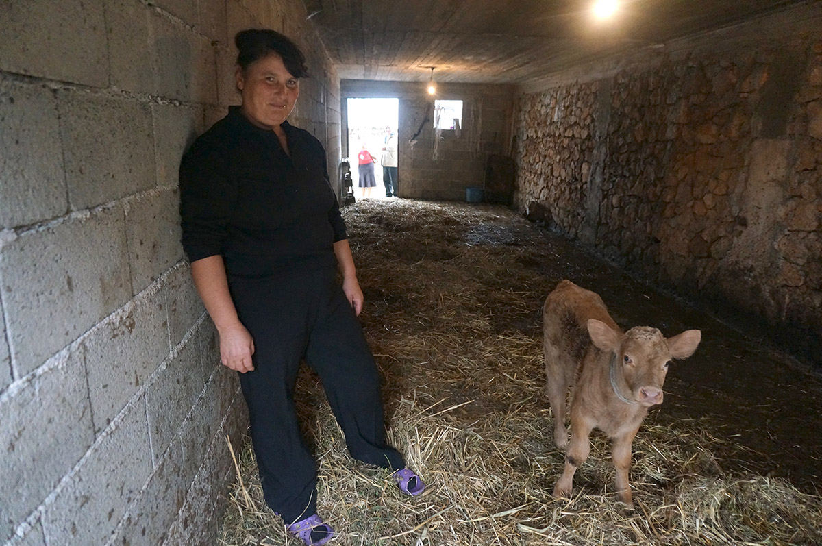Vera is a livestock expert in Albania