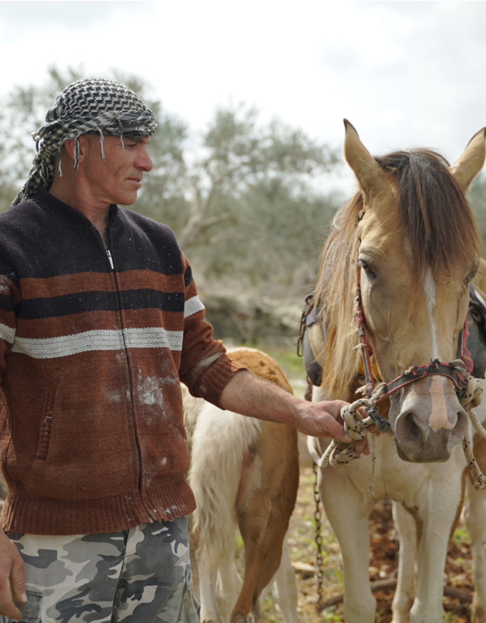 Mutasem from Palestine used a loan to buy new farming tools