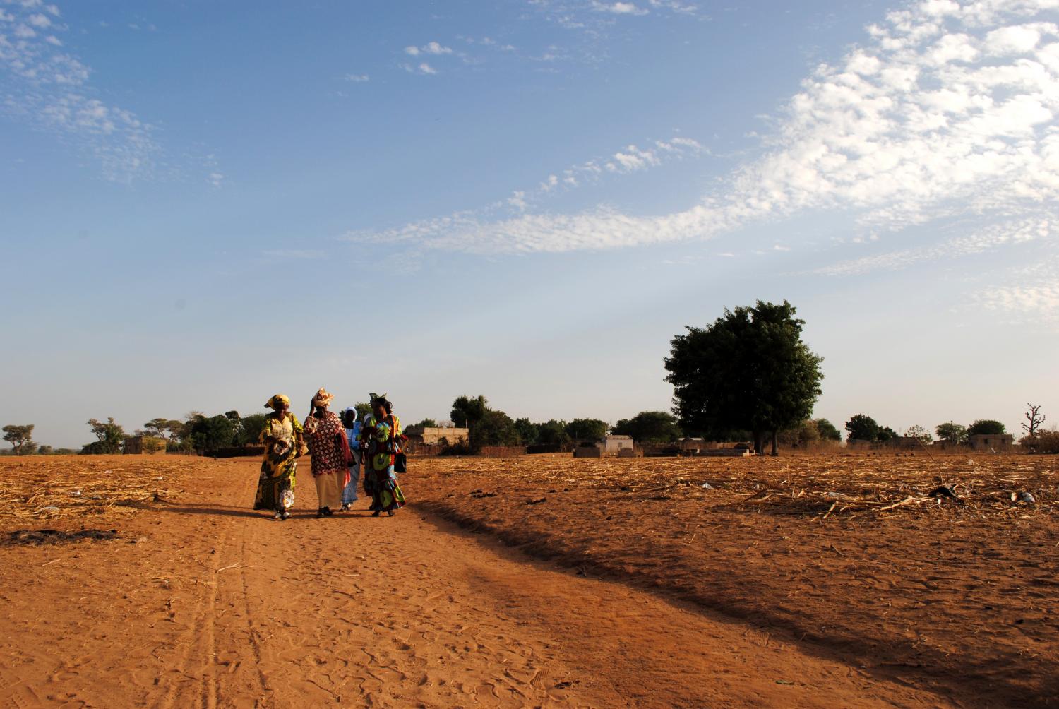 Solar in Senegal: A Kiva Partner Expands its Impact