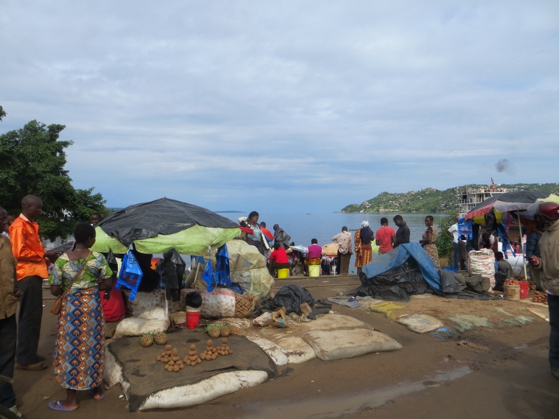 Work trip to Lake Victoria ends with Checking Fish on a Flight
