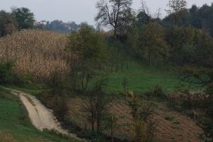 First week in Bosnia