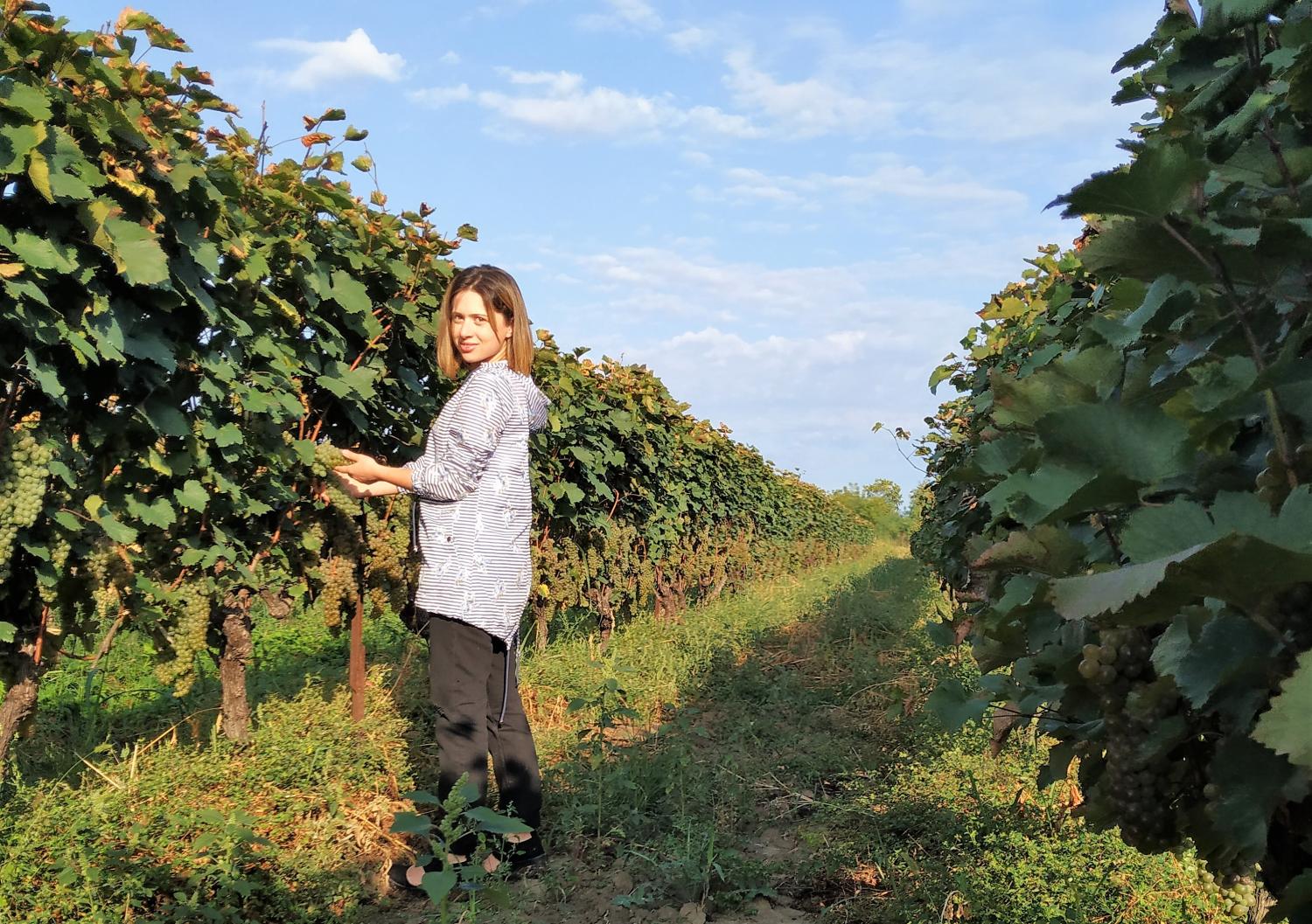 Georgia's ancient traditions support modern development