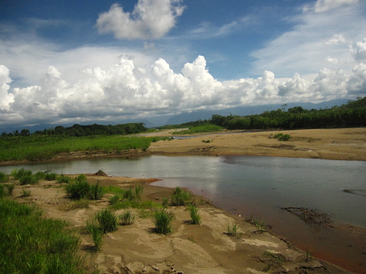 How Sierra Found Her Glasses