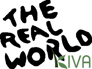 Real World – Kiva: Nine Strangers Living and Learning Together