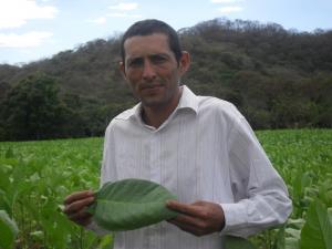 What are they smoking in Nicaragua?