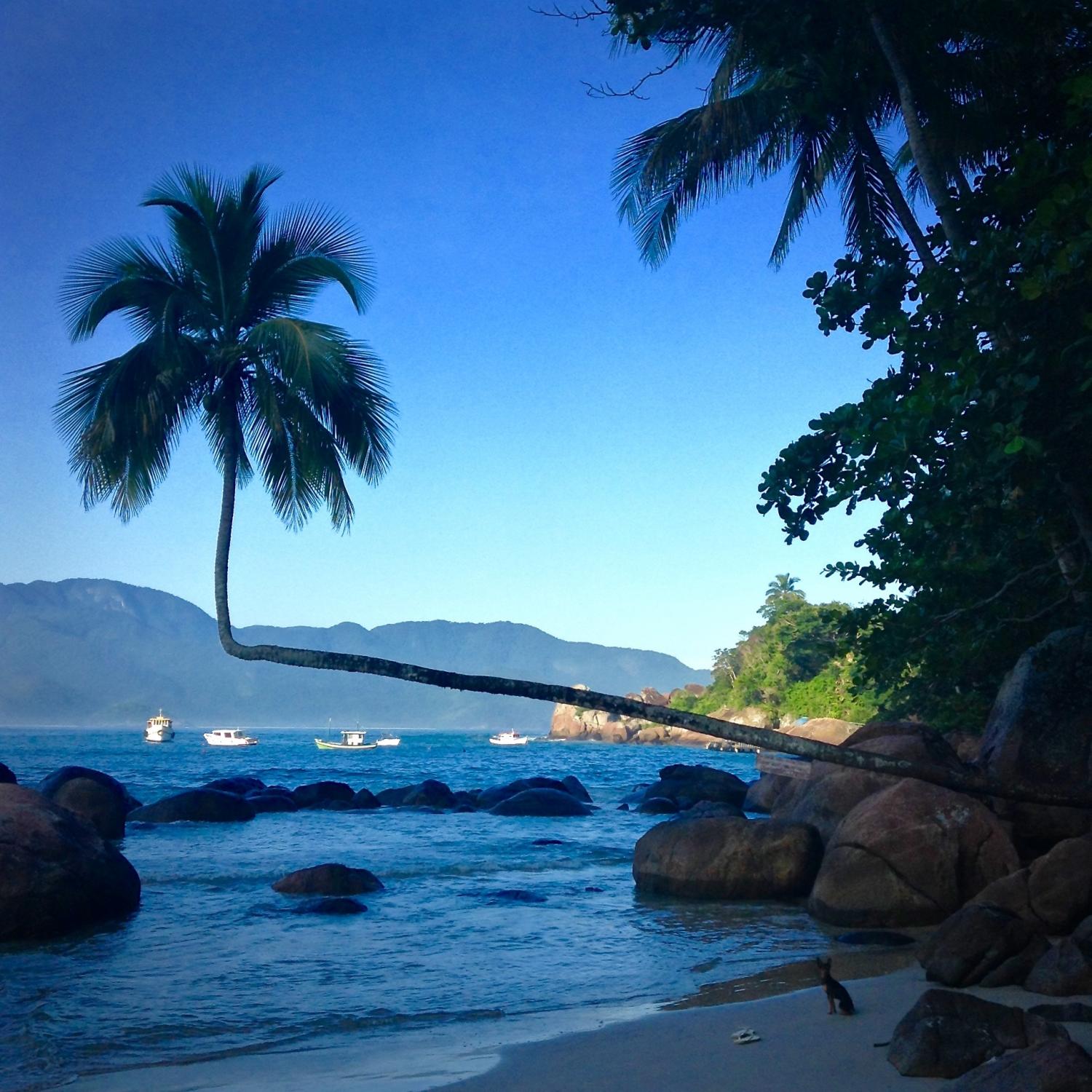 Portuguese 101: The Best Literally Translated Brazilian-Portuguese Words 