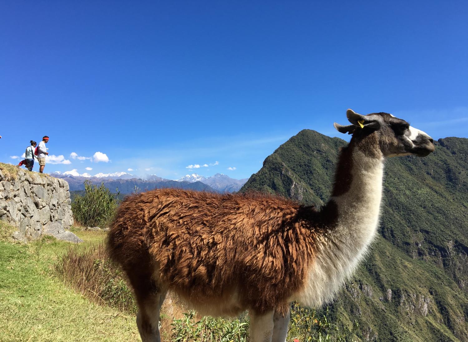 Not to evoke partisan sentiments, but seriously, let’s share the wealth