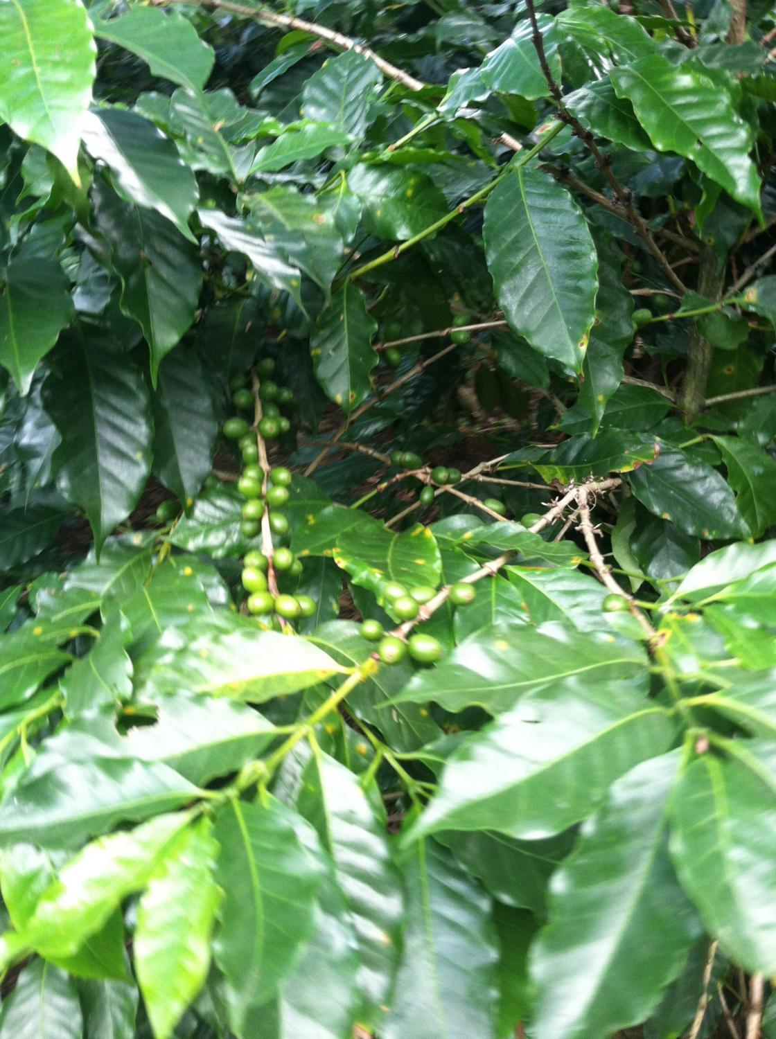 Best Part Of Waking Up