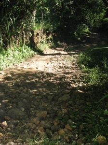 Bad Roads, Interest Rates, and MFI Sustainability