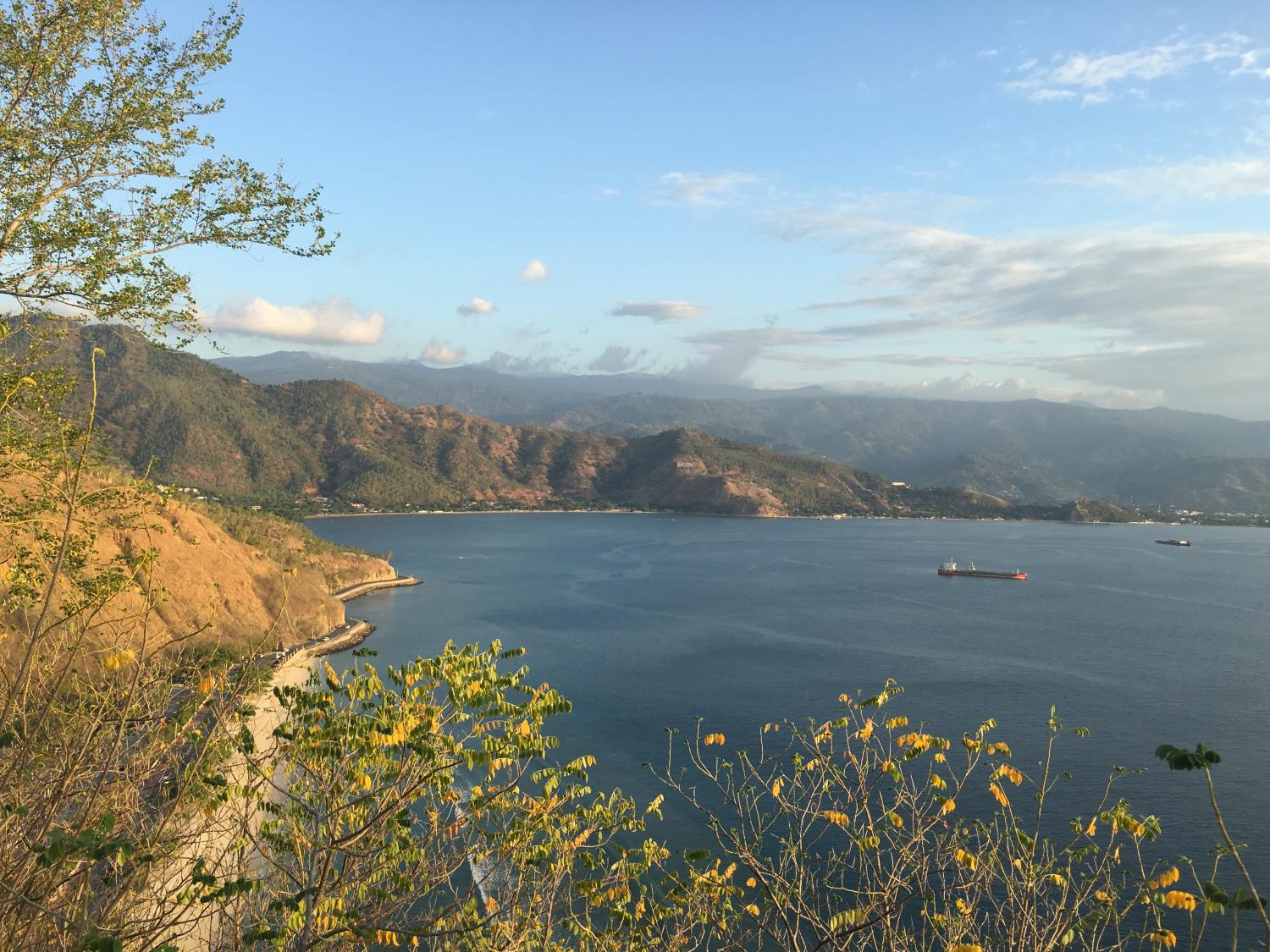 Crocodiles, Coffee and Collective Impact