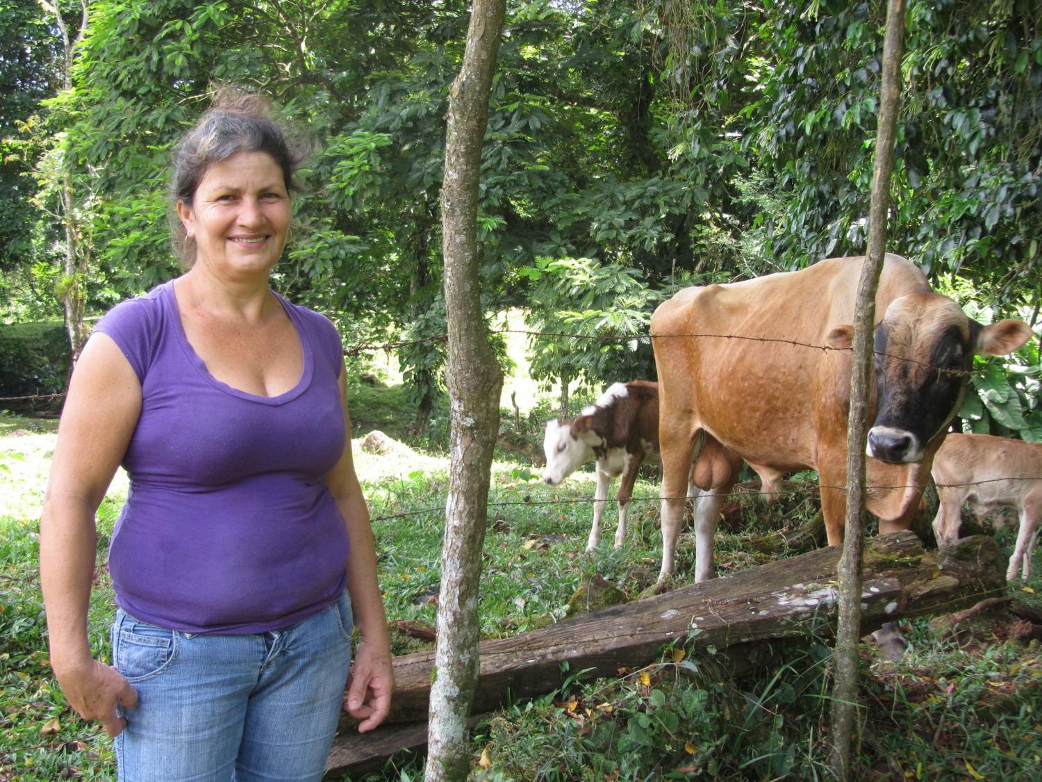 Cows on the Range = Gas for the Range