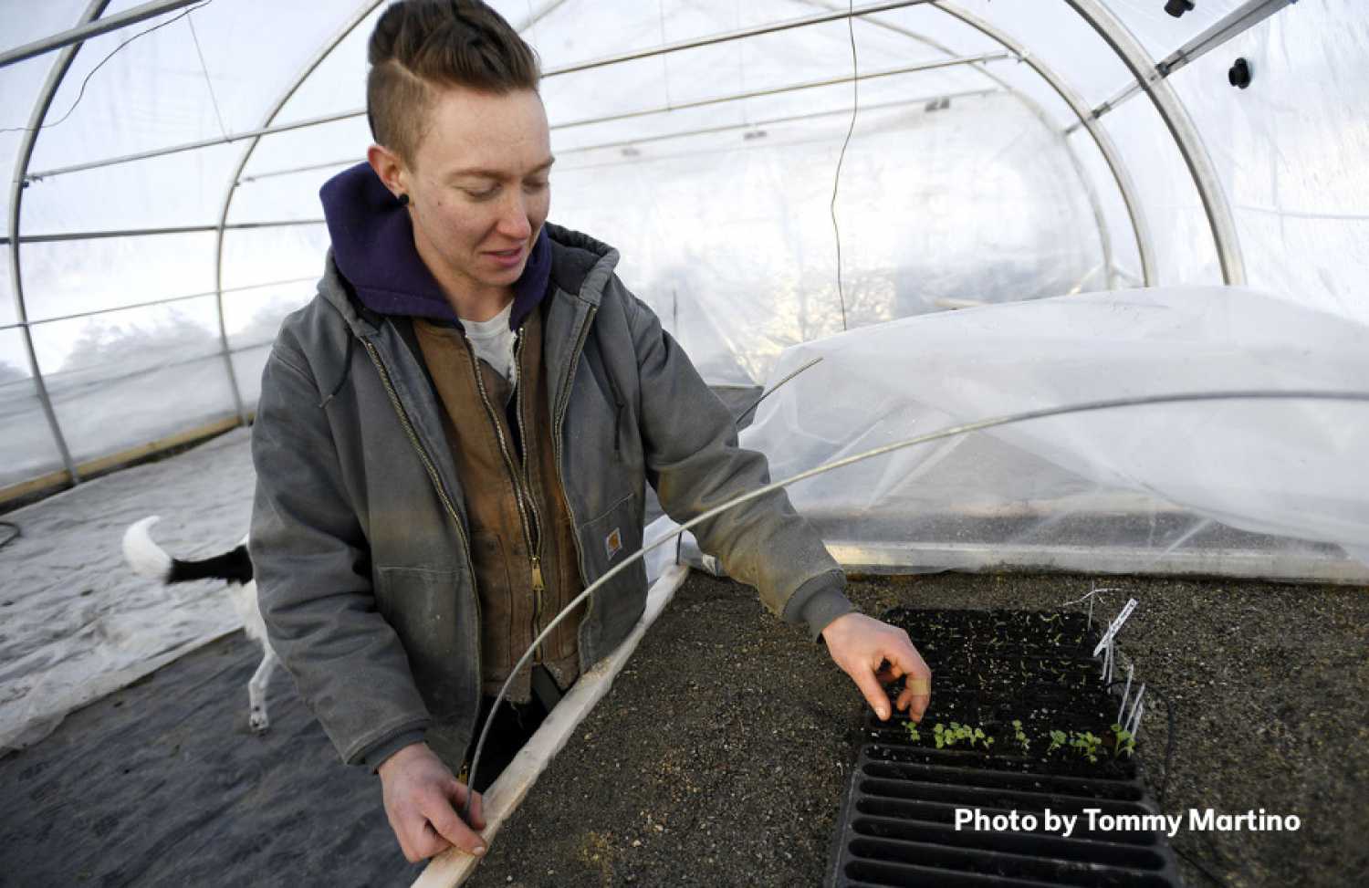 CFAC works Kiva into its entrepreneurship program