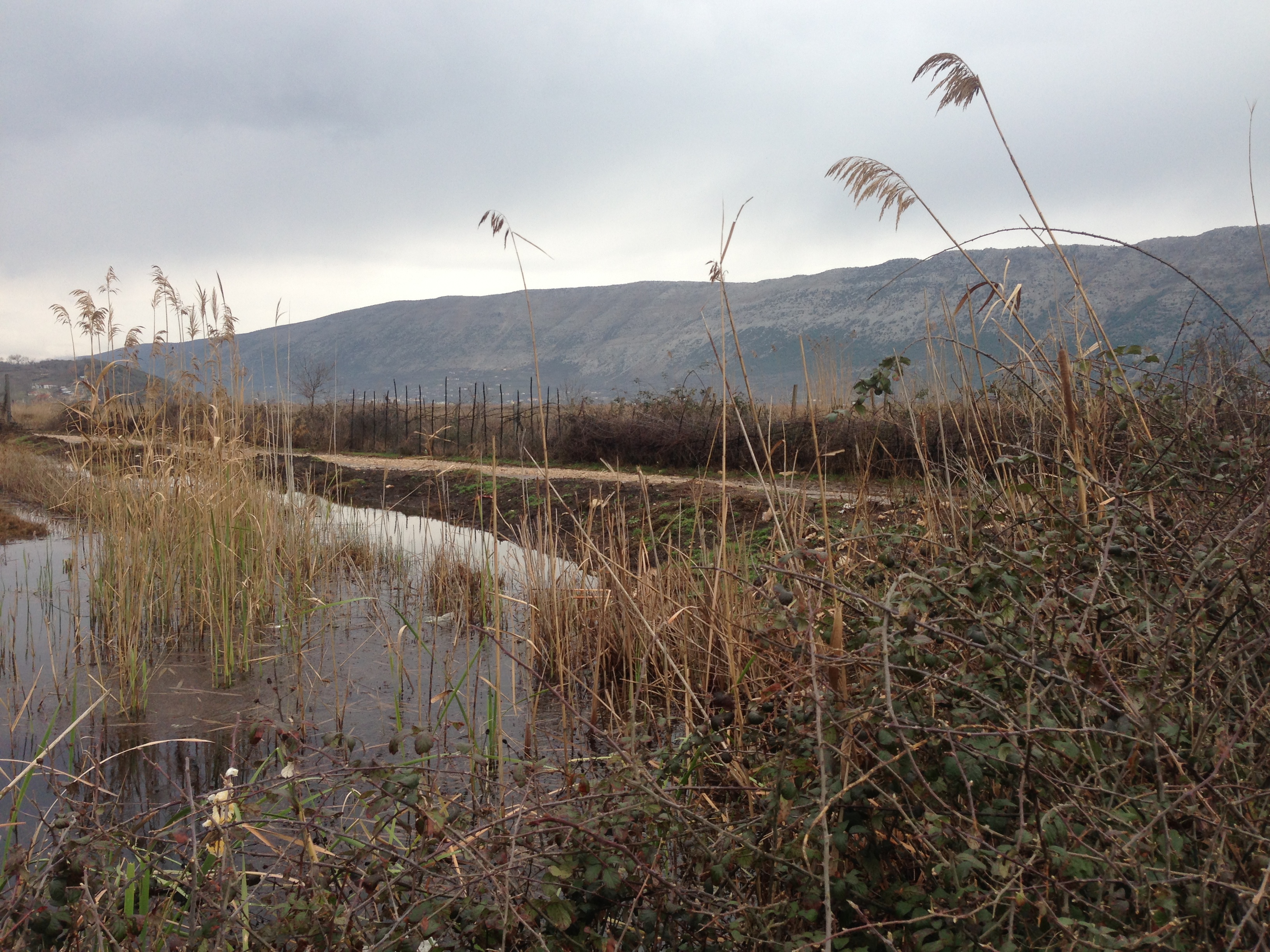 Blood feuds, goats and a lesson learned 