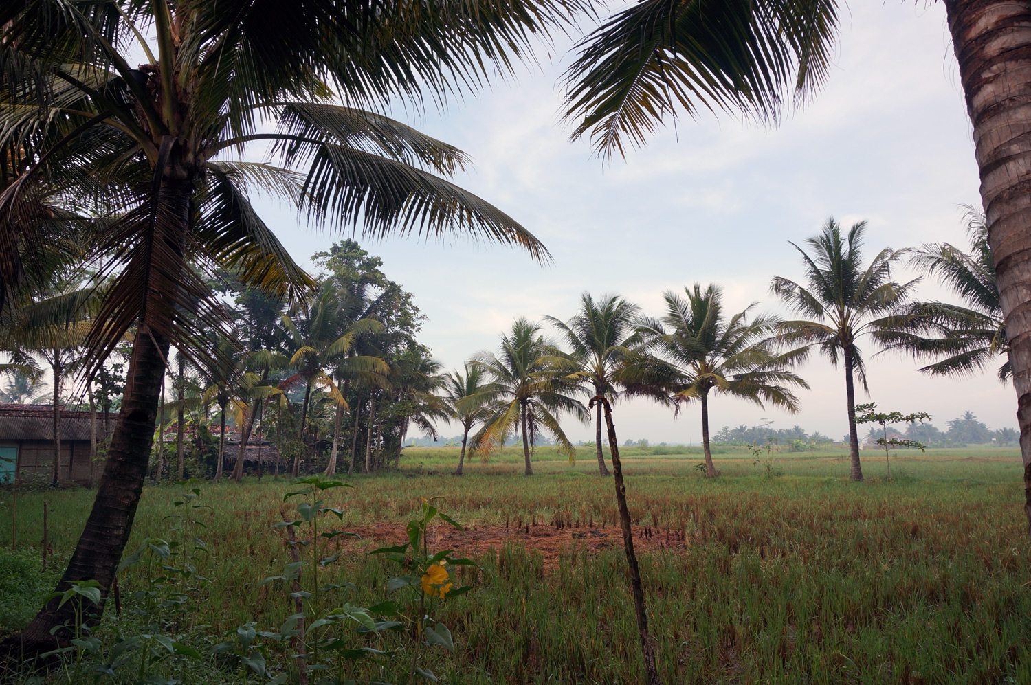 Filming for Kiva, Indonesia take FOUR