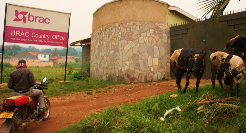 The Largest Development Organization in the World (and you probably haven’t heard of it!)