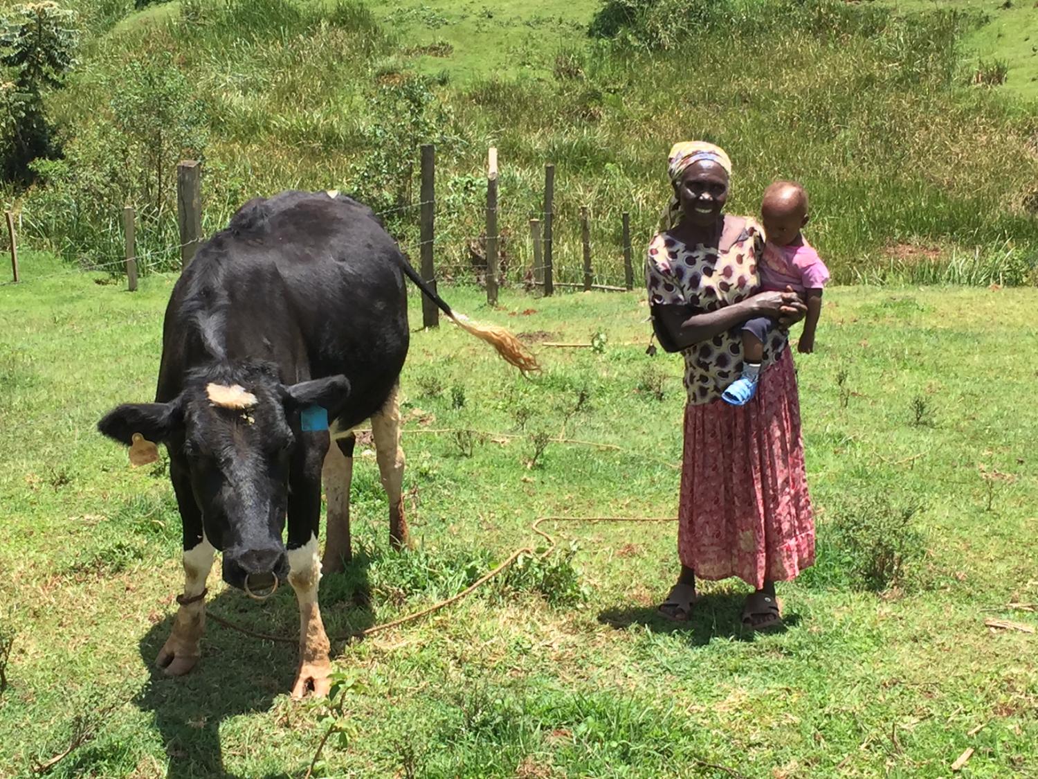 Don’t Put All Your Eggs in One Basket: Modern Portfolio Theory in Rural Kenya