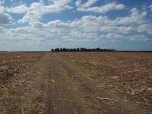 68 is never too old to learn to read.