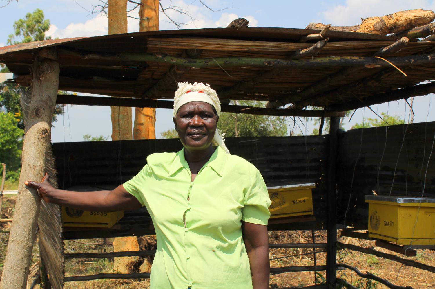 Kenya's Women Beekeepers