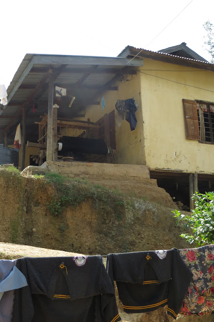 New Field Partner: WSDS offers creative loan products in remote parts of India