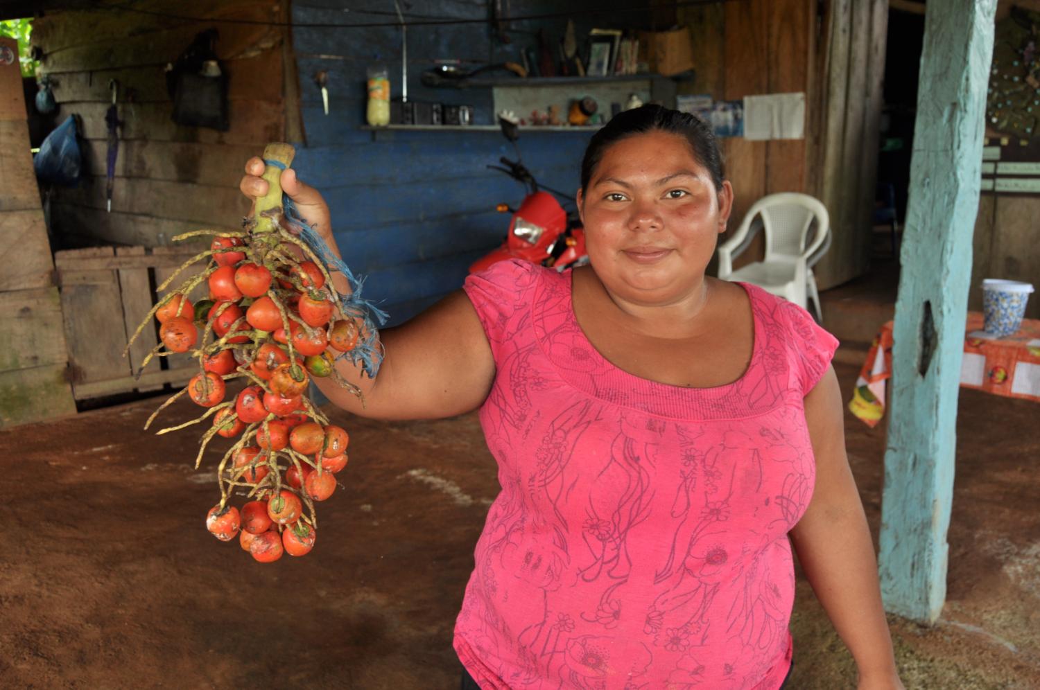 PEJIBAYE: The sustainable management of natural resources