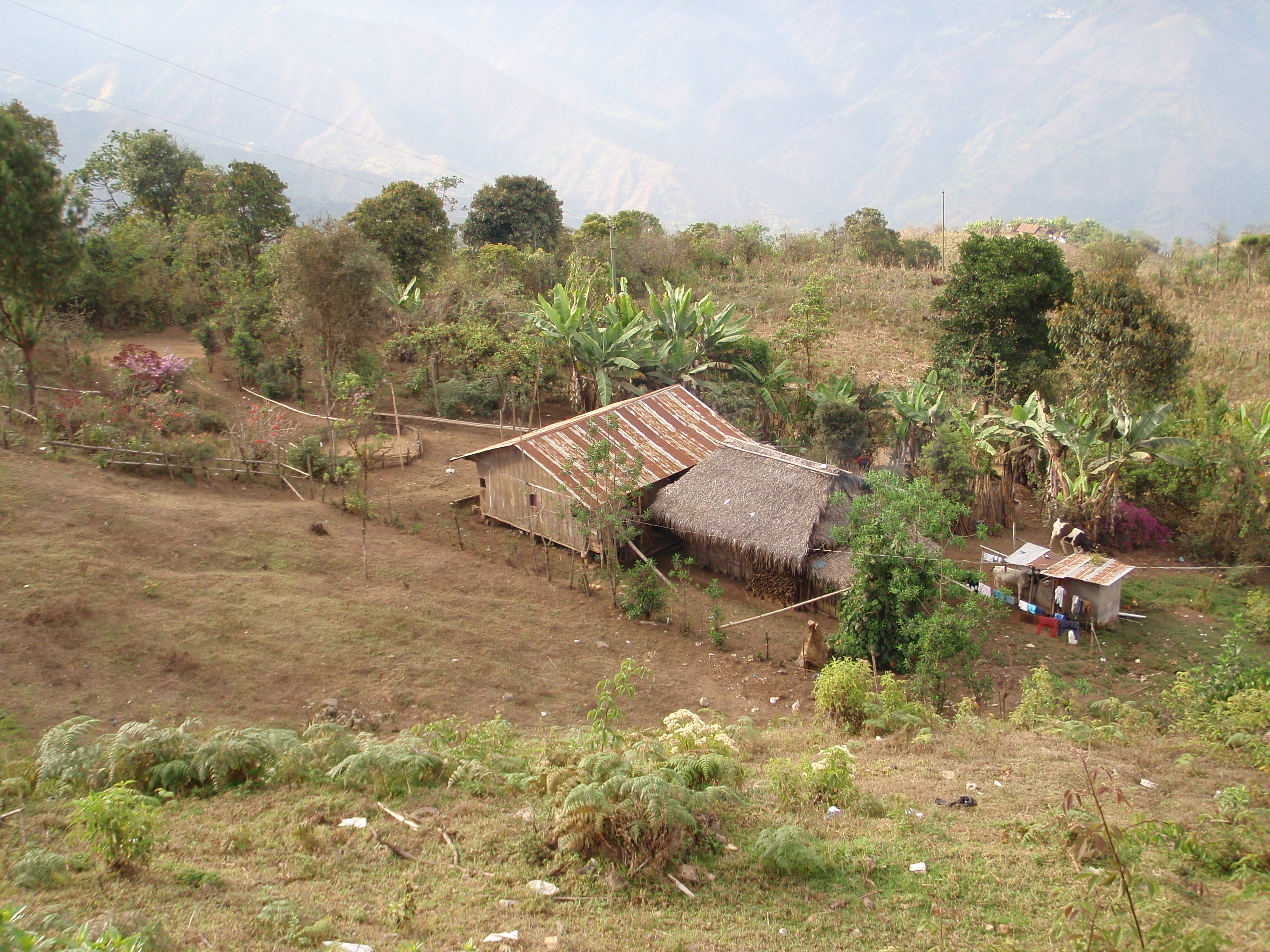 All Loans Lead to Home; When an Agricultural Loan is also a Housing (or Student) Loan