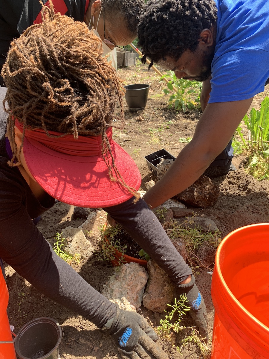 Akirah and Mancoba of Ubuntu Permaculture Mission