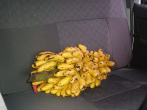 The Evolution of Economy: A New Definition of “Rich”