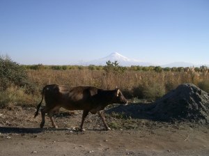 We Have to Know Our History too? (Part 1)