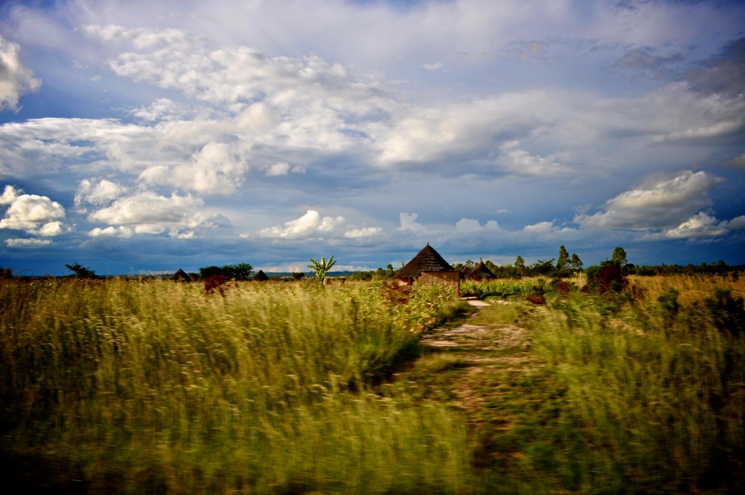 From Zimbabwe: A Sacred, Solemn Rally Cry