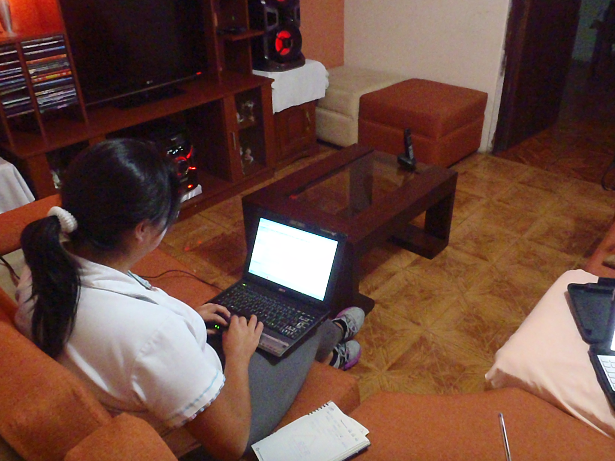 Mom, The Micro-Financier