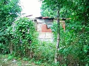 The Case for Nicaragua