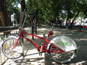 Bright Lights, Big City (Mexico City)