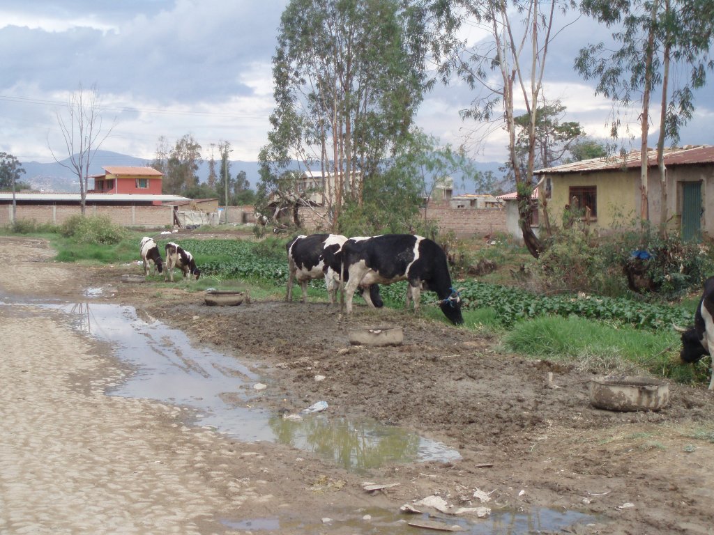 Participating in the Dialogue: The Role of Microfinance Critics (Part 2)