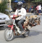 Where the Rubber Meets the Road