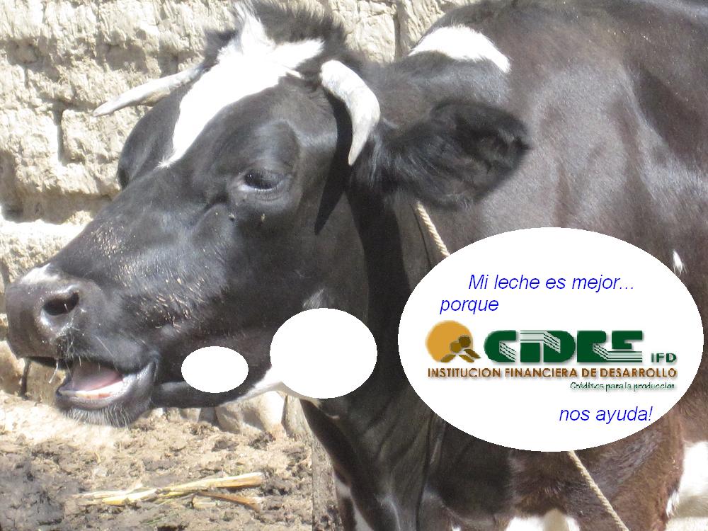 Cochabamgringa en el Hospital