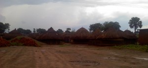 Microfinance and IDPs in Northern Uganda