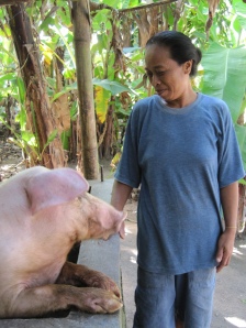 Featured Field Partner: Koperasi Mitra Usaha Kecil