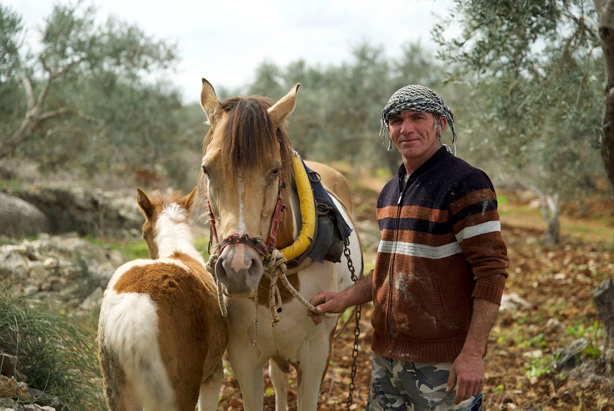 Mutasem, farmer, palestine