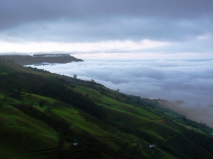 A Community in Search of Progress