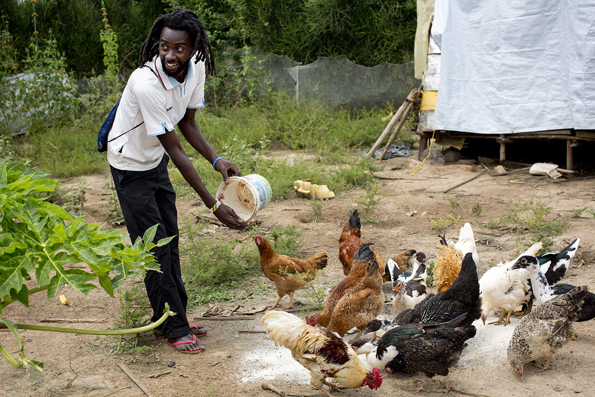Lending to refugees, or giving authors pens: Learnings from the Nakivale Refugee Settlement