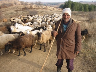 Social Performance in Action: Vulnerable Groups