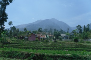 Update from the Field: Starting Capital, Development Levels + Adventurous Borrower Visits