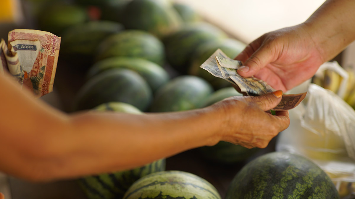 What is currency risk protection?