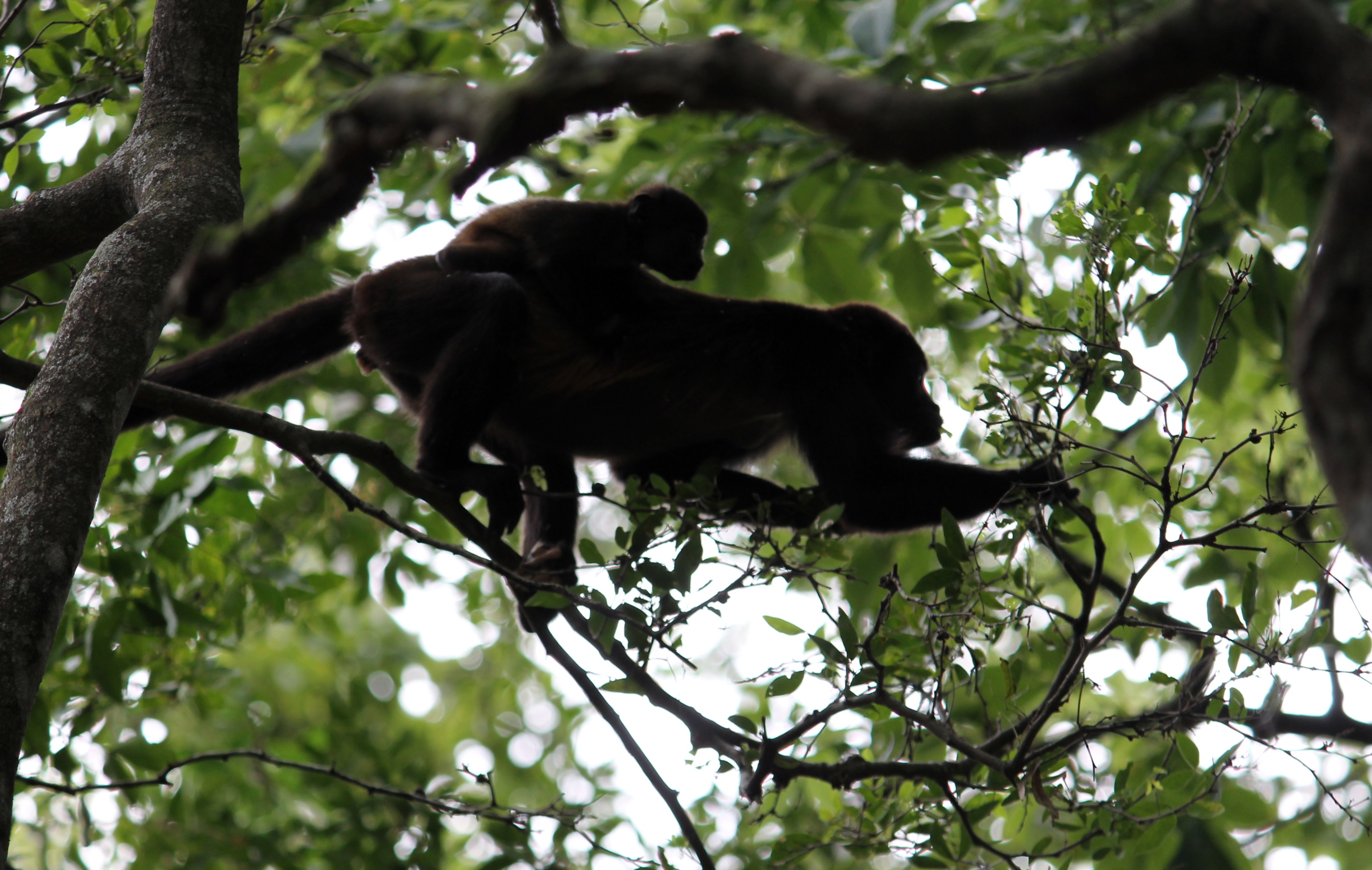 Getting from Point A to Point B in CostaRica
