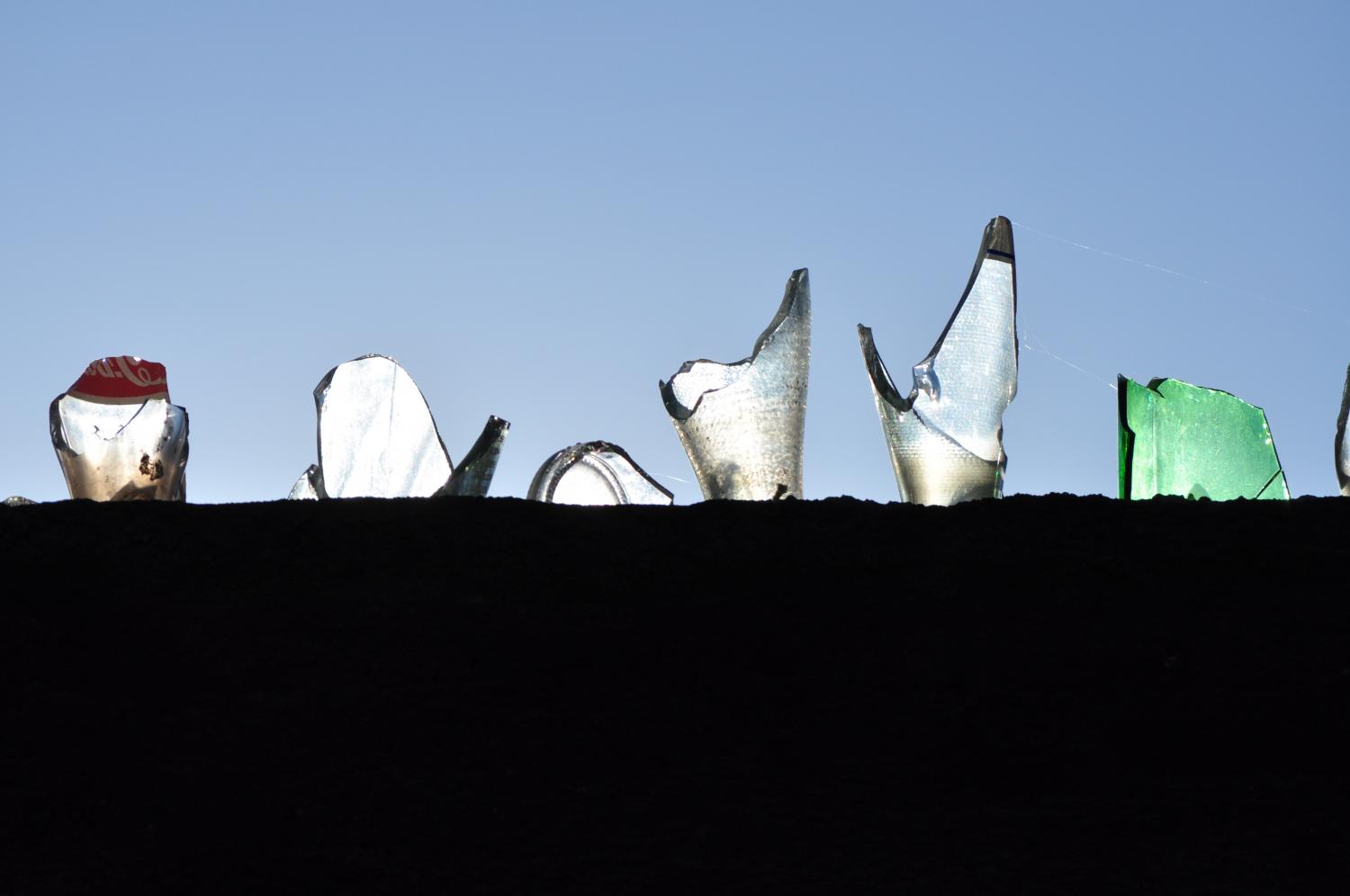 'You Are Magic': A Dispatch from Zimbabwe