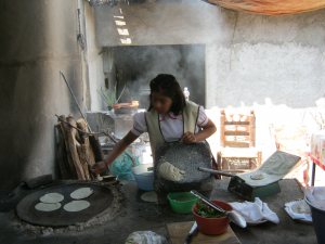 Update from the Field: Fun Facts, Field Visits + Back to Basics