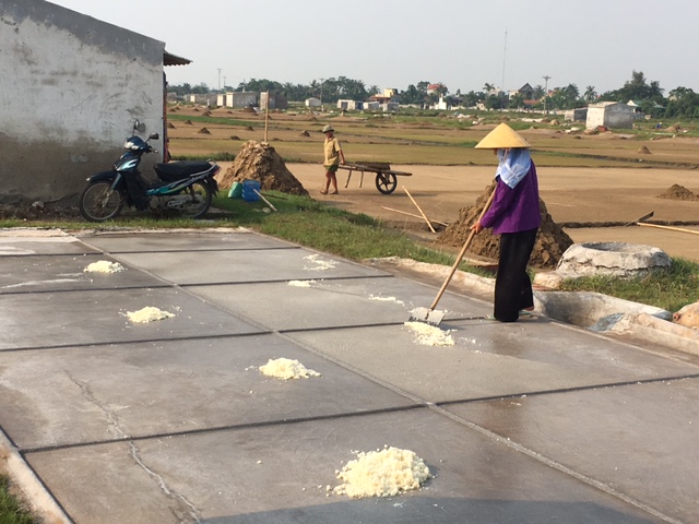 Vietnamese Salt Farmers: The Salt of the Earth