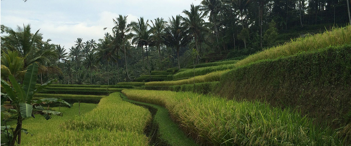 Life in the Field: Teach Us Something About Your Local Food Scene